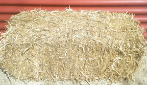 pea straw bale